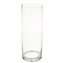 אגרטל צילינדר מזכוכית שקופה (9.5 אינץ' x 3.5 אינץ'